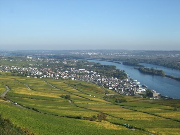/Rudesheim