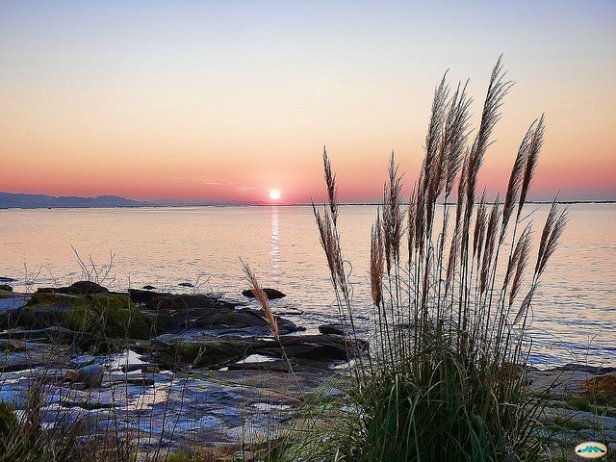 /Cambados desde Corbillón