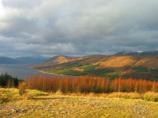 /Paisaje de las Highlands en invierno